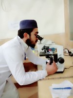 Abdul