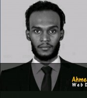 Ahmed Mohamedalkhier