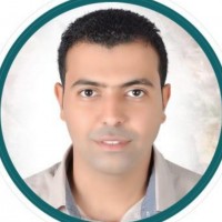 Amr Abu-bakr Ahmed Ebrahim