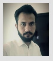 Anser